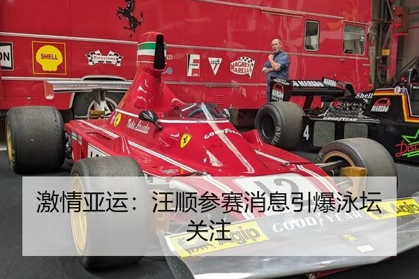 激情亚运：汪顺参赛消息引爆泳坛关注