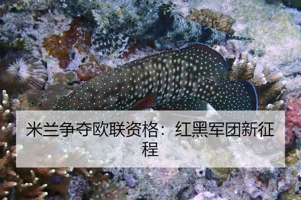 mi-lan-zheng-duo-ou-lian-zi-ge-hong-hei-jun-tuan-xin-zheng-cheng-2-908.jpg